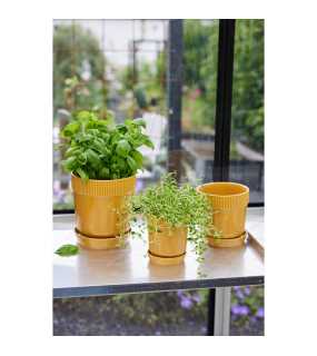 Květináč (SAGAFORM) > žlutá