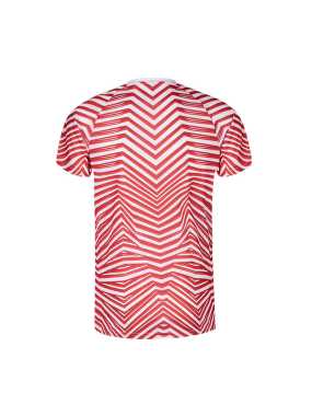 Pánské tričko > modrá > L