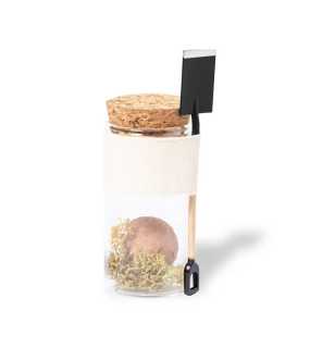 Sada pro pěstování květin, hrábě > B