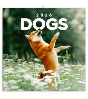 Nástěnný kalendář (Psi 2026) - 30 x 30 x 1 cm