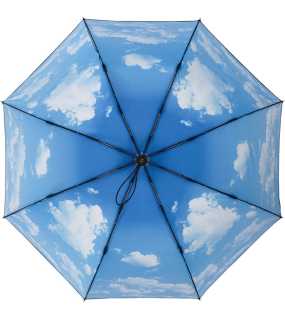 Skládací deštník (FARE AC mini umbrella -Nature) > černá / cloud design