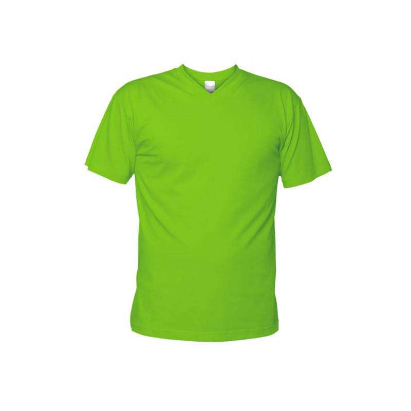Pánské tričko (Classic-T V-neck STEDMAN)>zelená (kiwi)>L