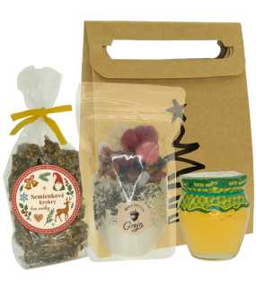 Vánoční dárková taška Zdravo a FIT po celý den


