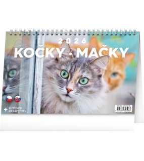 Stolní kalendář (Kočky – Kočky CZ/SK 2026) - 23,1 x 14,5 x 1 cm