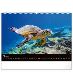 Nástěnný kalendář (Podmořský svět 2026) - 48 x 33 x 1 cm