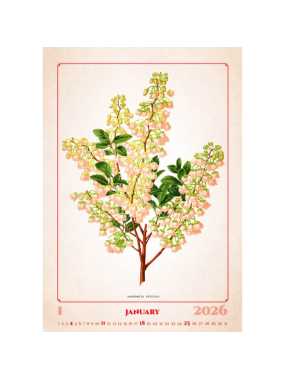 Nástěnný kalendář (Herbarium 2026) - 31,5 x 52 cm
