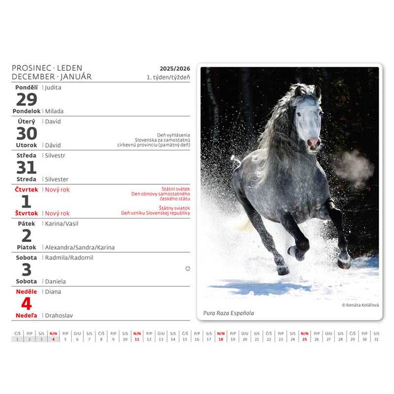 Stolní kalendář (Koně 2026) - 17,1 x 16,4 cm