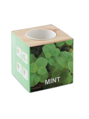 Dřevěný květináč na bylinky> hnědá (dřevo)