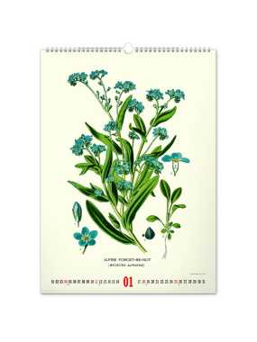 Nástěnný kalendář (Vintage plakáty - herbář 2026) - 33 x 46 x 1 cm