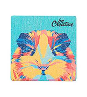 Magnetka > přírodní > C