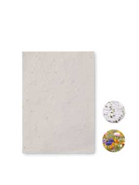 List A6 se semínky květin > bílá