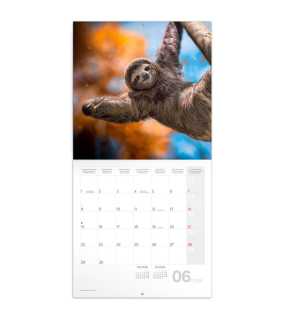 Nástěnný kalendář (Úsměv prosím 2026) - 30 x 30 x 1 cm