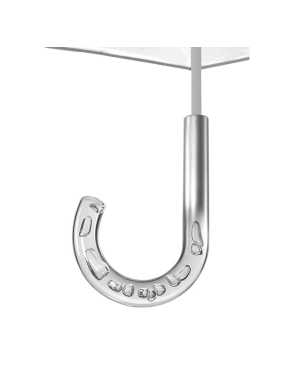 Automatický deštník> transparentní (stříbrná)